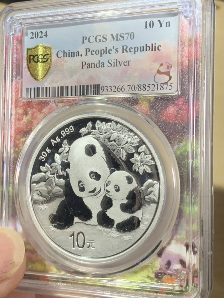 中国パンダ銀貨 2024年中華人民共和国パンダ10元 純銀 30グラムPCGS鑑定済みMS70 未使用 極美品 希少 非常に入手困難 の画像3