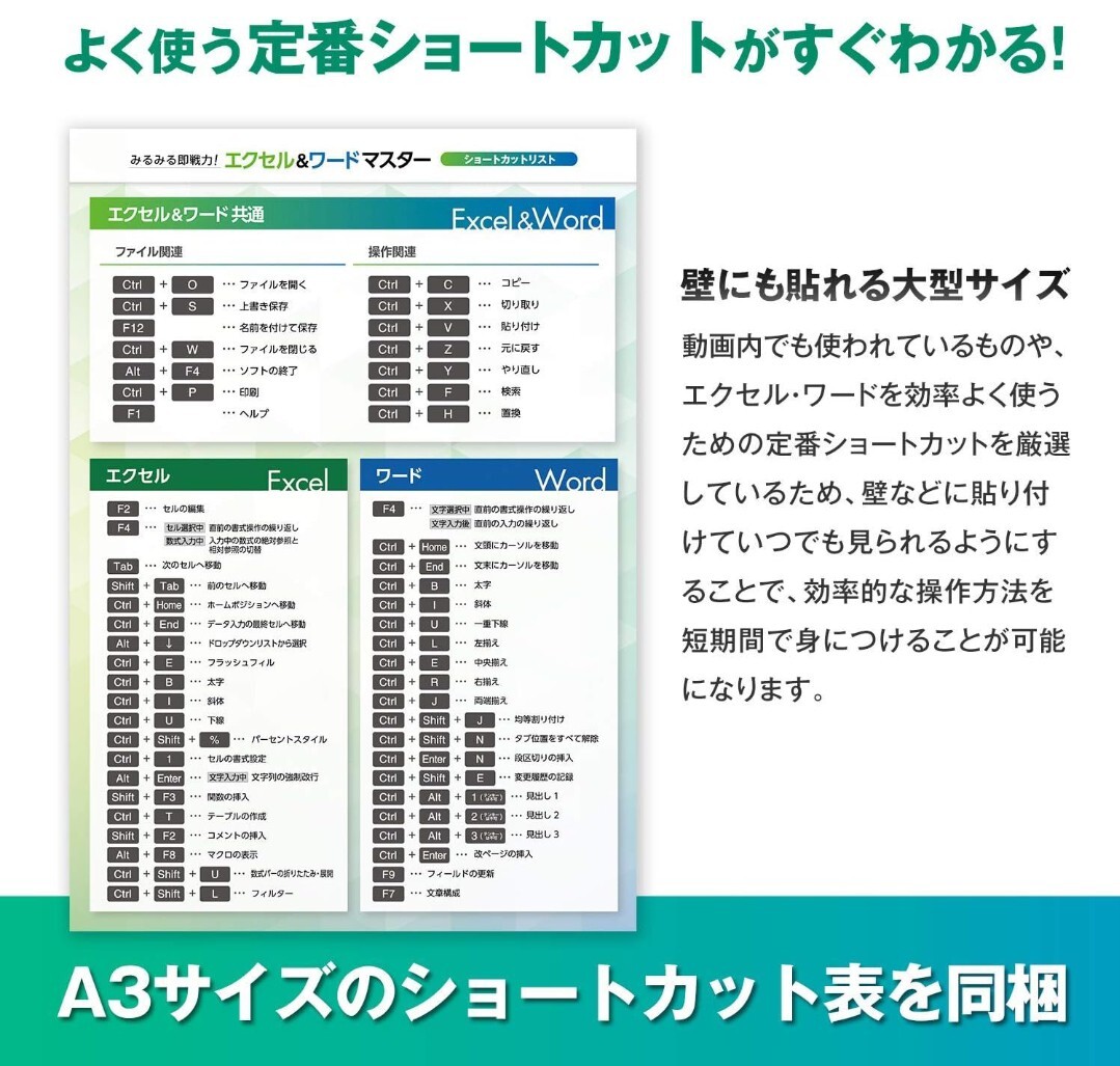 Excel＆Word＋タイピングLite 一生役立つ三種の神器 タイピング練習 エクセル ワード Office365 2019 2016 2013 2010対応 DVD2枚組 A43_画像5