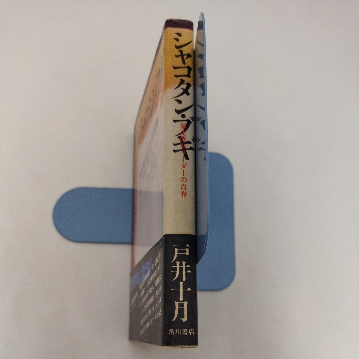 シャコタン・ブギ 暴走族女リーダーの青春 戸井十月 角川書店 初版 _画像3