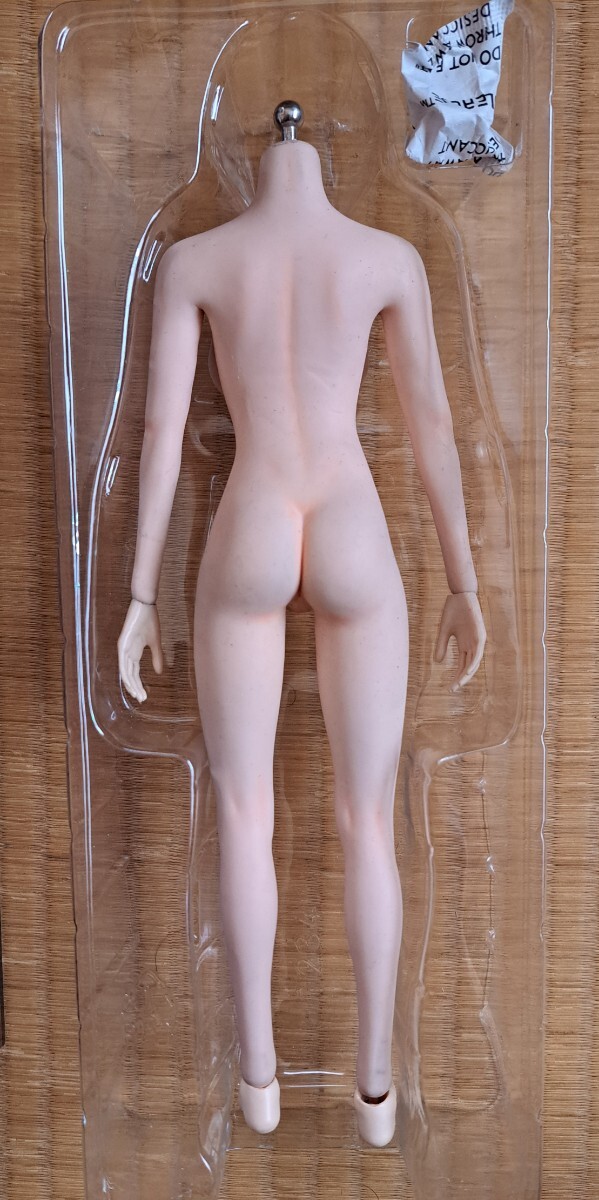 TBLeagueS10D& white suit & head 3 point set /L bust & pale .& pair neck removal and re-installation type /si-m less woman body /1/6 scale figure / old fa Ise n