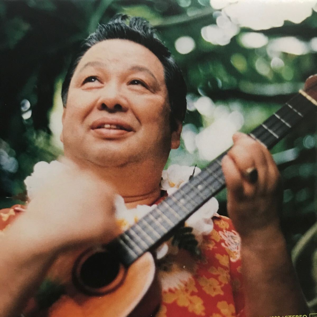  height tree b-* Vintage * Hawaiian ukulele 