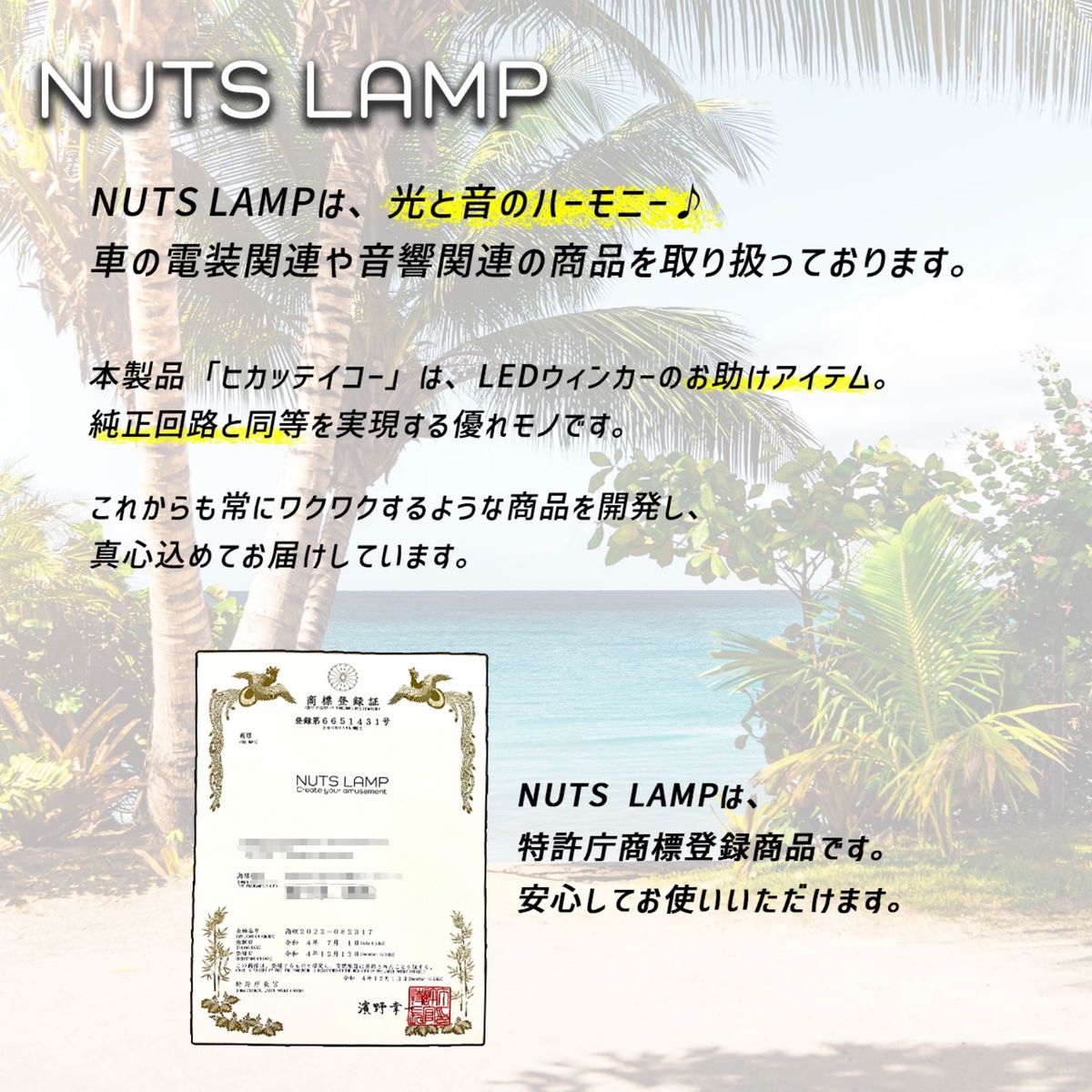 抵抗器 ハイフラ 防止抵抗 LEDウィンカー ウインカー NUTSLAMP ナッツランプ ヒカッテイコー 