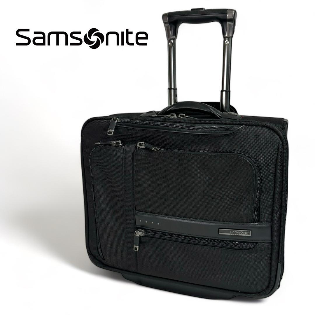  beautiful goods Samsonite Black Label travel carry bag 