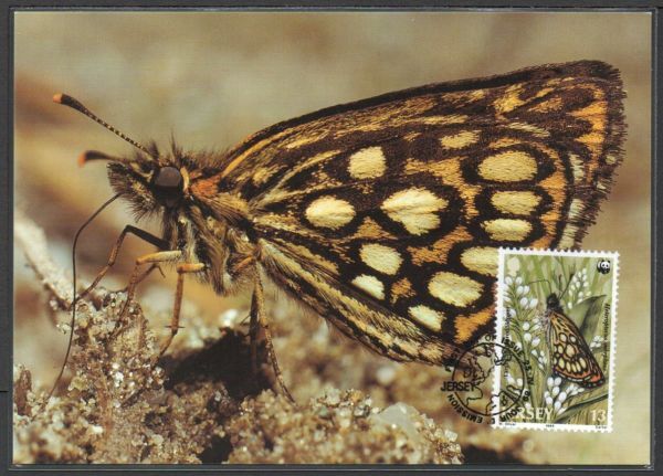 MC J193 ジャージー WWF 昆虫 蝶 1V完貼り 1989年発行 マキシマムカードの画像1
