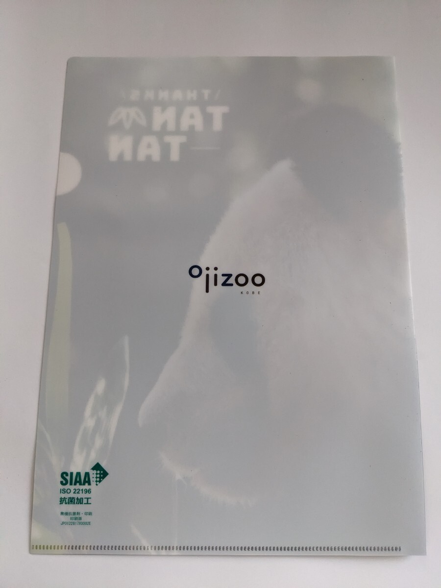 タンタン 王子動物園 クリアファイル 雑誌切り抜き パンダ aの画像3