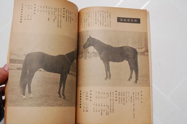  war front war middle magazine [ super .]3 volume 2 number Showa era 18 year 2 month number Japan horse racing . large higashi . war . horse . charge horse [ the first snow ] tail shape wistaria .