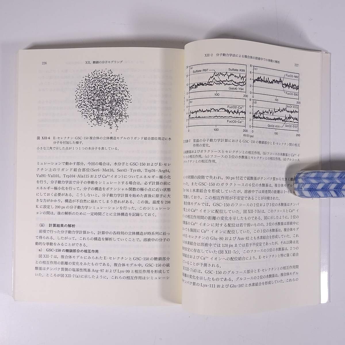 生理活性糖鎖研究法 木曽眞 生物化学実験法42 学会出版センター 1999 単行本 生物学 化学 工学 工業 ※状態やや難_画像9