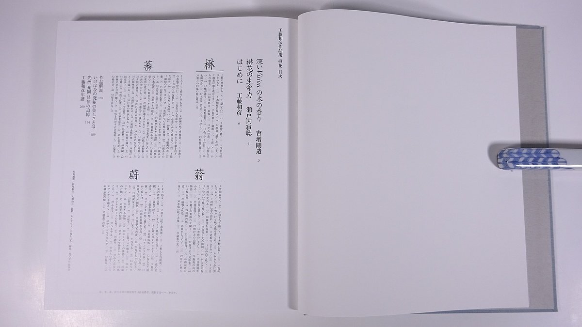 工藤和彦 作品集 楙花 まおか アシェット婦人画報社 2000 函入り大型本 華道 いけばな 活け花 生花 図版 図録_画像5