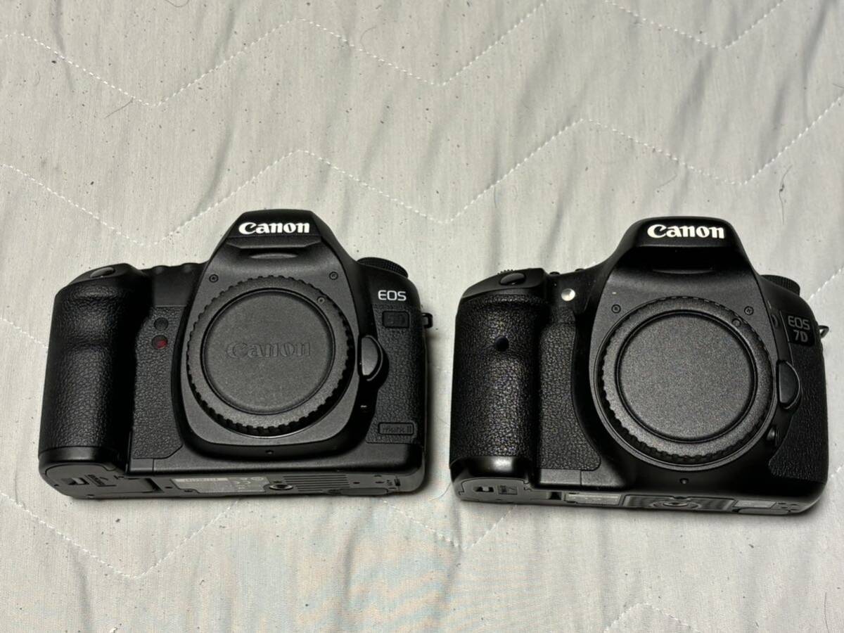 Canon EOS 5D mark II 7Dの画像1