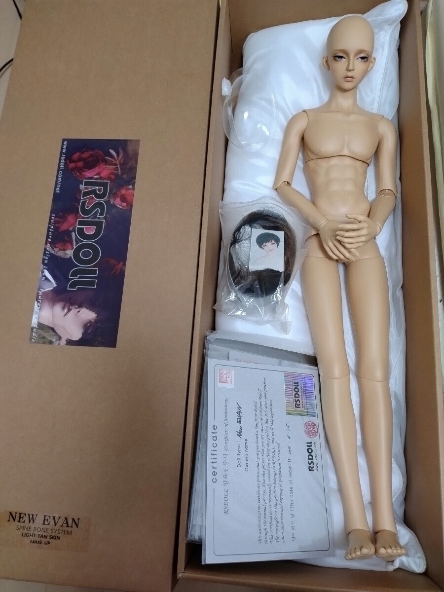 RSDOLL　NEW EVAN　LIGHT TAN SKIN 2016年製　中古_画像5