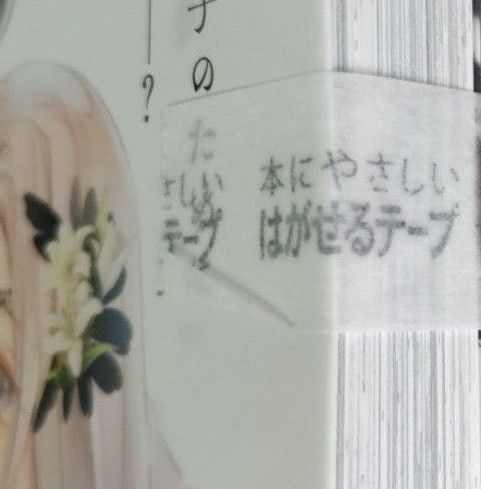 新品 新刊 望まれぬ花嫁は一途に皇太子を愛す 3巻