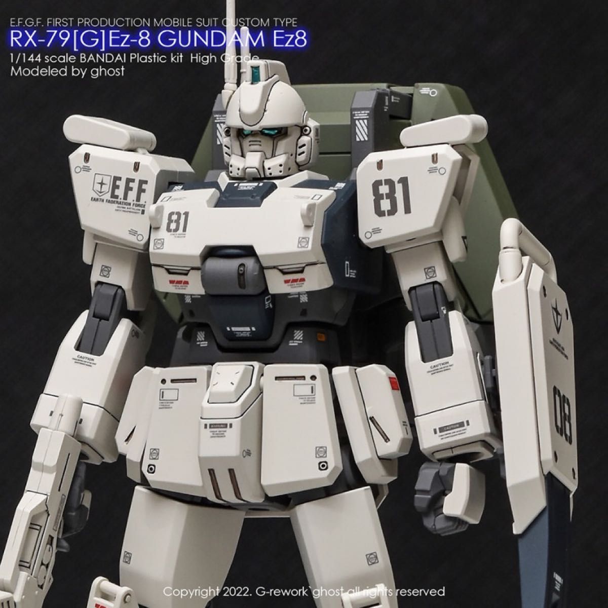 HG 1/144 RX-79 Ez-8 ガンダムイージーエイト用水転写式デカール　他社製　ガンダム　ガンプラ　プラモデル