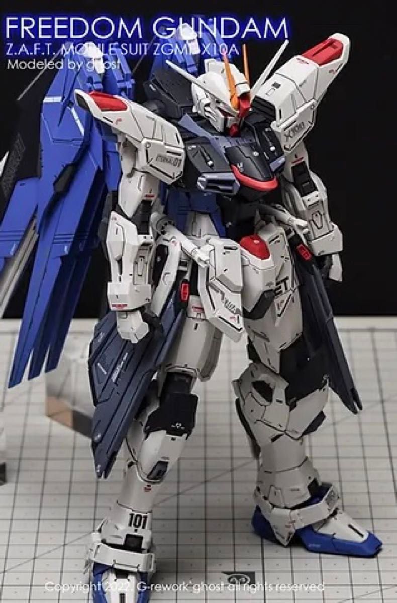 MG 1/100 フリーダム ガンダム　Ver.2.0用水転写式デカール　他社製　ガンダム　ガンプラ　プラモデル