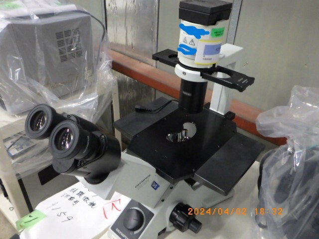 10200円 OLYMPUS 培養顕微鏡 CKX31SF - 顕微鏡 10200円 OLYMPUS 培養顕微鏡 CKX31SF - 顕微鏡