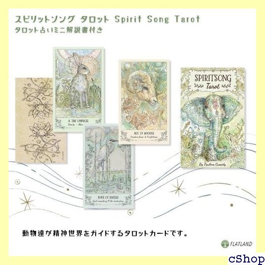 スピリットソング タロット Spirit Song T ト占い 日本語解説書付き タロットカード 78枚 美しい 1144_画像2