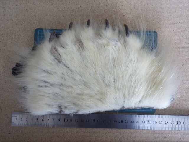 pb491 ポーラーベア 脚部分 爪付き5個 ナチュラル ポーラベアの画像1