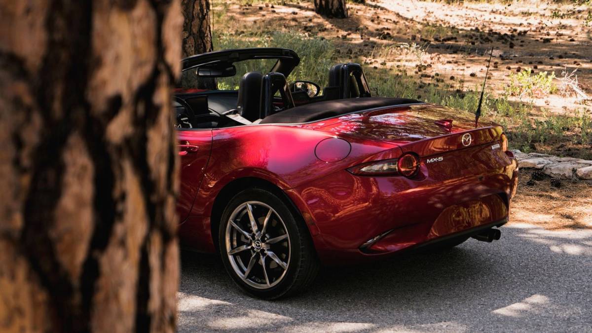 USマツダ純正 16-19 MAZDA MX-5 リア エンブレム USDM北米JDM 前期 ロードスター Roadster MIATA ミアータ ND5RC ND系_画像9