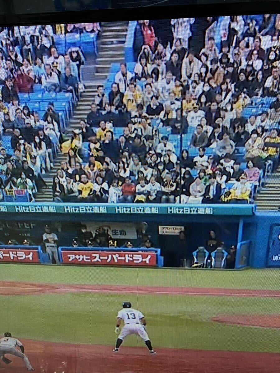  Hanshin bench обратная сторона самый передний ряд через . сторона! Yakult vs Hanshin 6/29( земля ) Star сиденье 3. сторона 2 листов полосный номер сиденье обычная цена и меньше старт бог . лампочка место 14 час ~