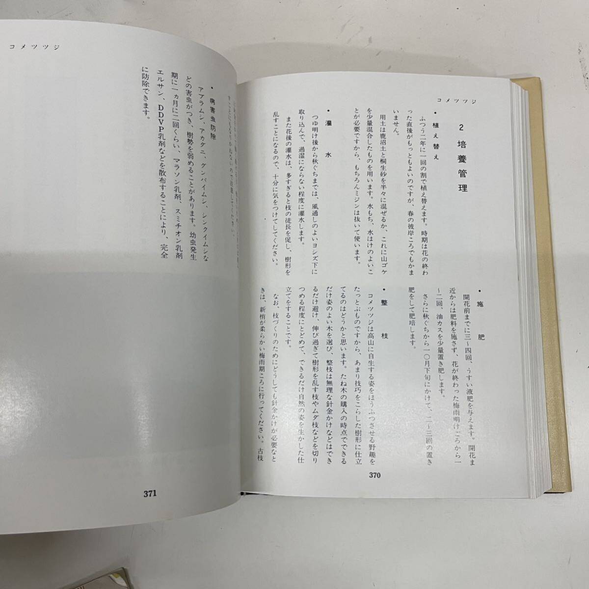 日本盆栽講座　全11巻　日本盆栽講座刊行会_画像7