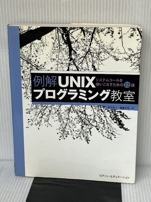  пример ...UNIX pro ... ... ... человек  