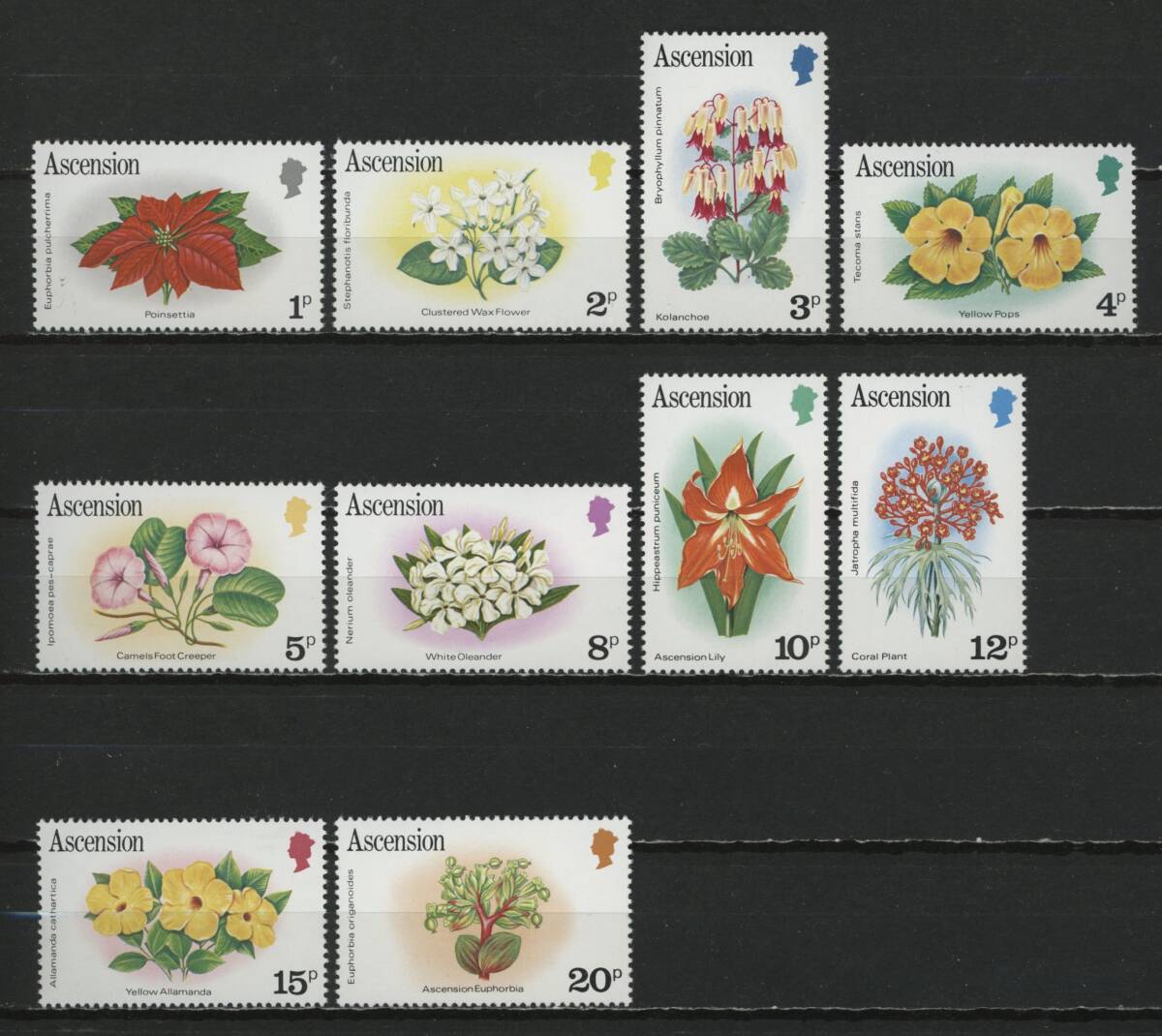 ∞アセンション島 1981年 普通切手/花/低額10種 SC#274~88から 未使用NH 10種の画像1