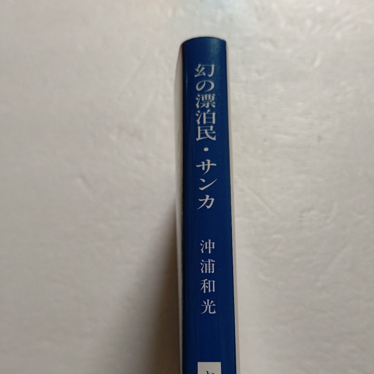 幻の漂泊民サンカ 沖浦和光 山の民 民族誌 一所不住。山野河川で天幕暮し。竹細工や川魚漁を生業とし60年代に列島から姿を消した自由の民。