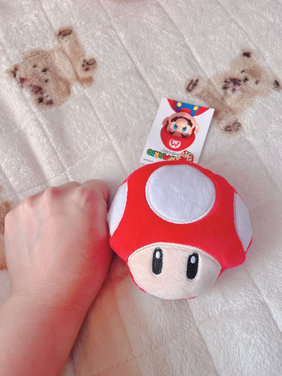 マリオ　キノピオ　マスコット　小物入れ