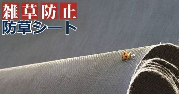 GT-4【即決】在庫処分！通常価格30万円分相当分【東レ】アクスター（G2150BK 210ｃｍ×100m巻3本）ハイグレード 防根 防草シートの画像3