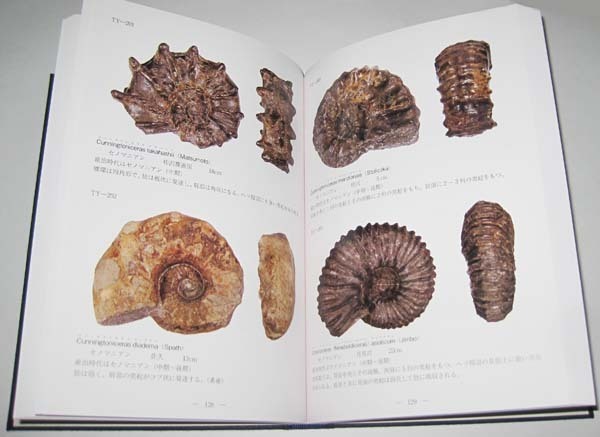 日本の化石 写真集「北海道のアンモナイト」 特別値下げ価格！の画像1