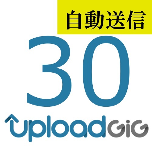 【自動送信】UploadGiG プレミアム 30日間 通常1分程で自動送信しますの画像1