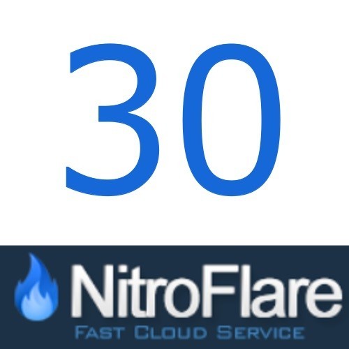 Nitroflare Premium 30 дней в тот же день!
