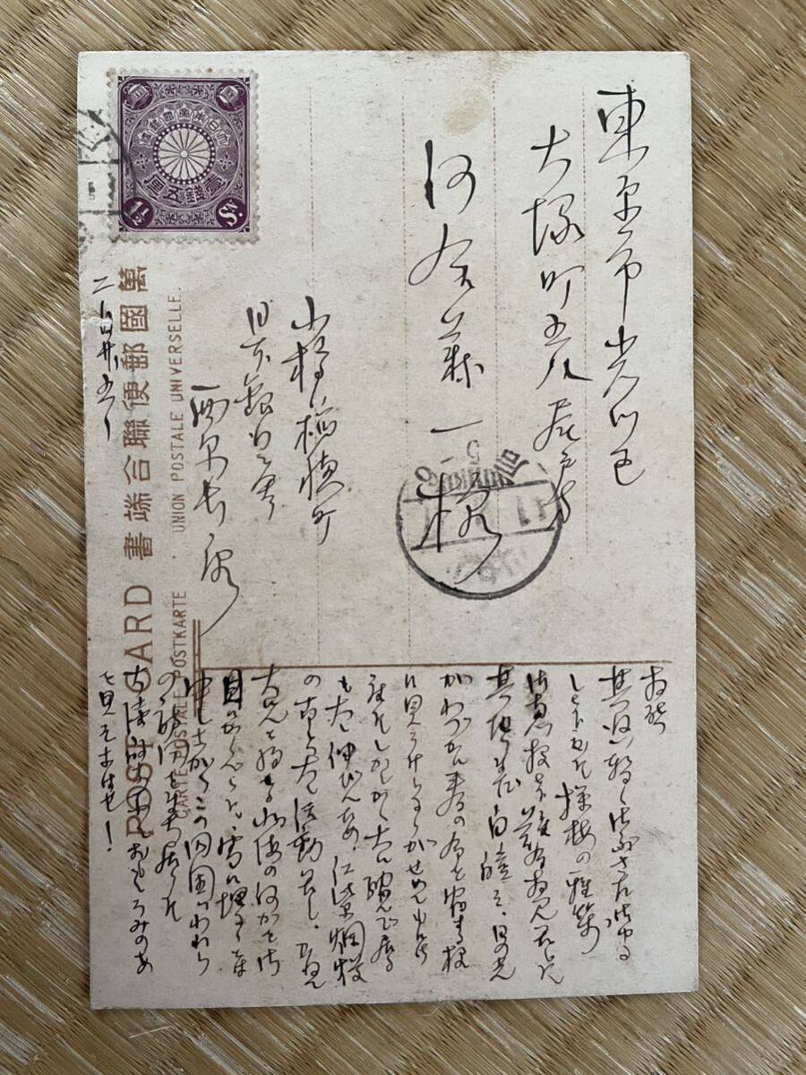 絵葉書　農科大学附属農園　札幌区　北海道　エンタイヤ　明治　戦前　古写真　畜産　牛_画像2