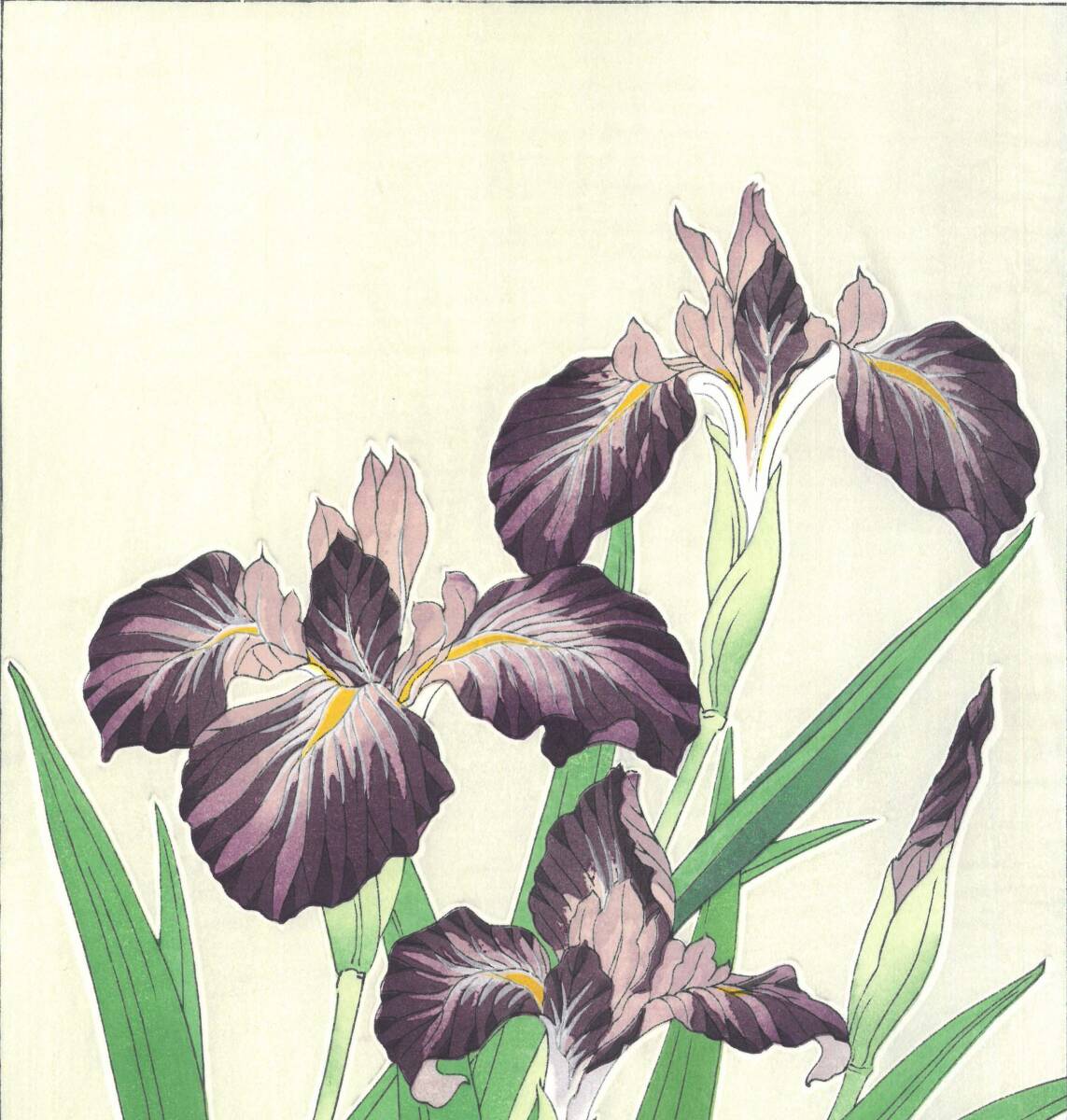 真作保証　河原崎奨堂 木版画 　#1 杜若　 Iris 　花版画　　初版昭和中期～ 京都らしい花版画の美をご自宅でお楽しみください。_画像6