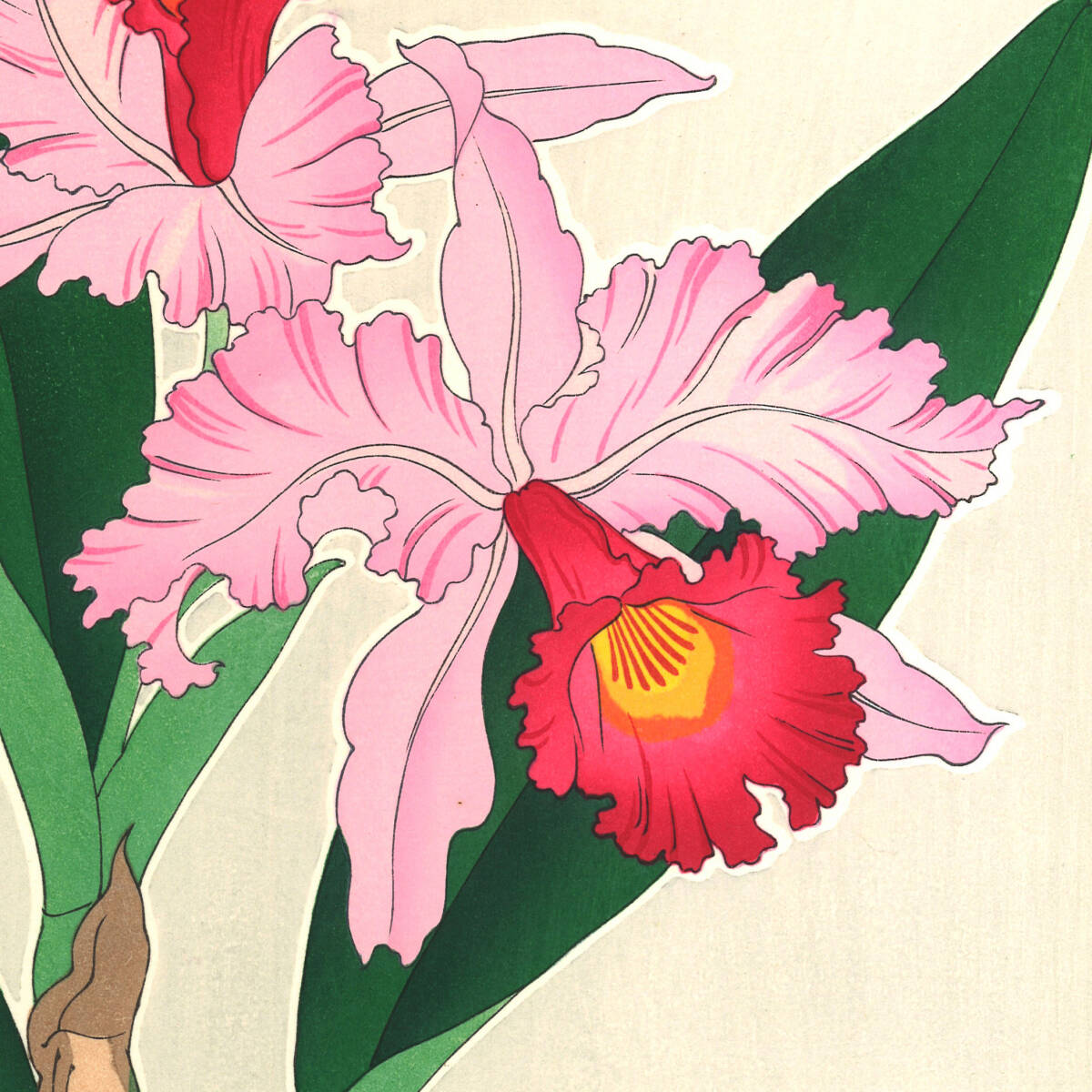 真作保証　河原崎奨堂 木版画 　#99 蘭 Orchid　花版画　　初版昭和中期～ 京都らしい花版画の美をご自宅でお楽しみください。_画像10