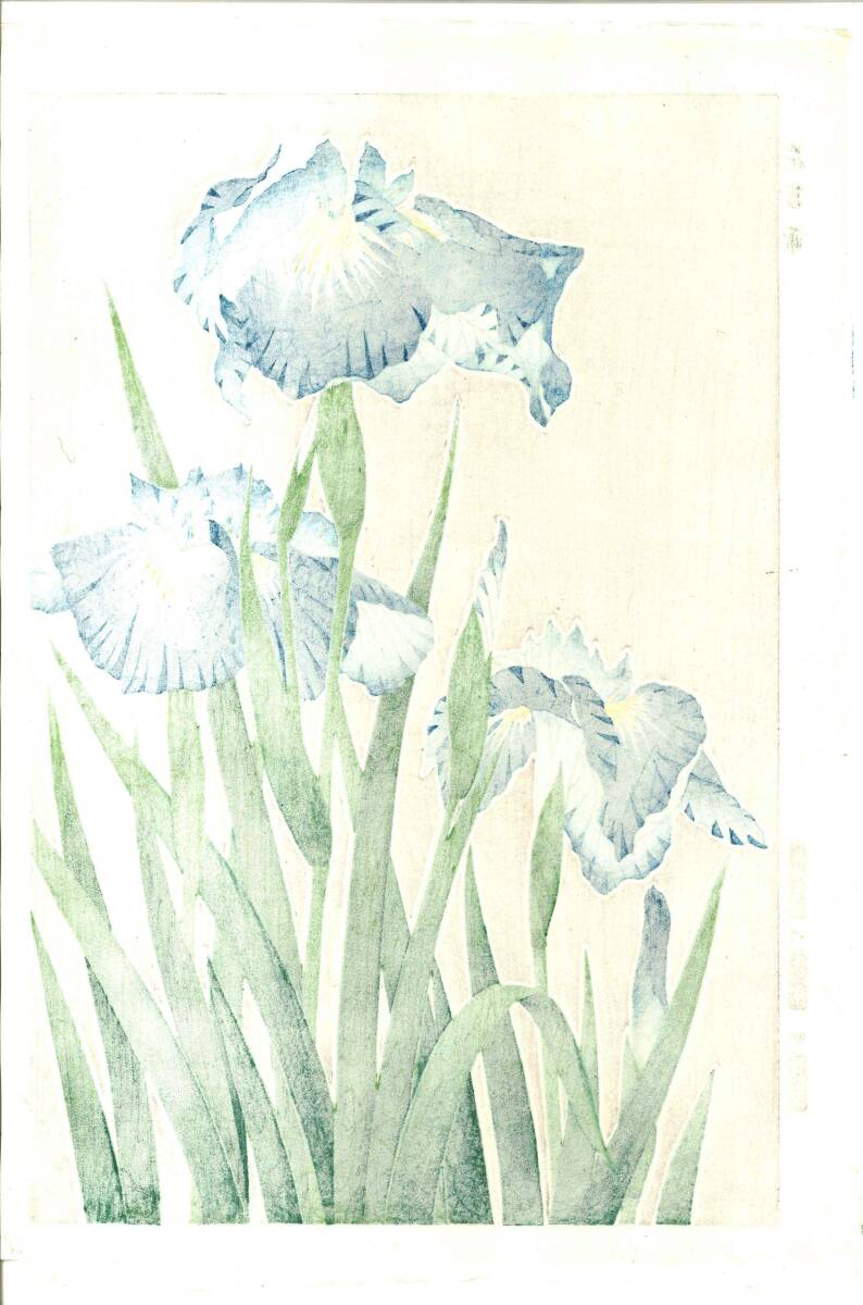 真作保証　河原崎奨堂 木版画 　#3 花菖蒲　 Iris 　花版画　　初版昭和中期～ 京都らしい花版画の美をご自宅でお楽しみください。_画像2