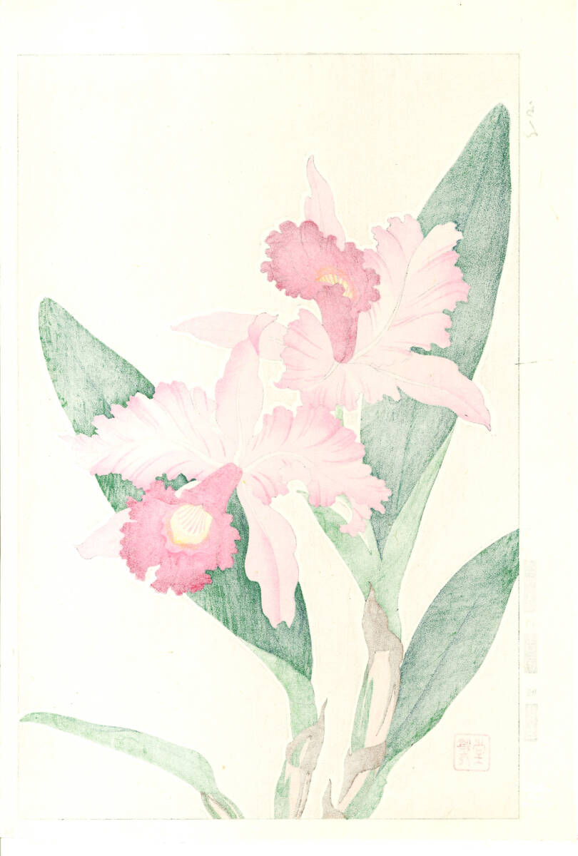 真作保証　河原崎奨堂 木版画 　#99 蘭 Orchid　花版画　　初版昭和中期～ 京都らしい花版画の美をご自宅でお楽しみください。_画像2