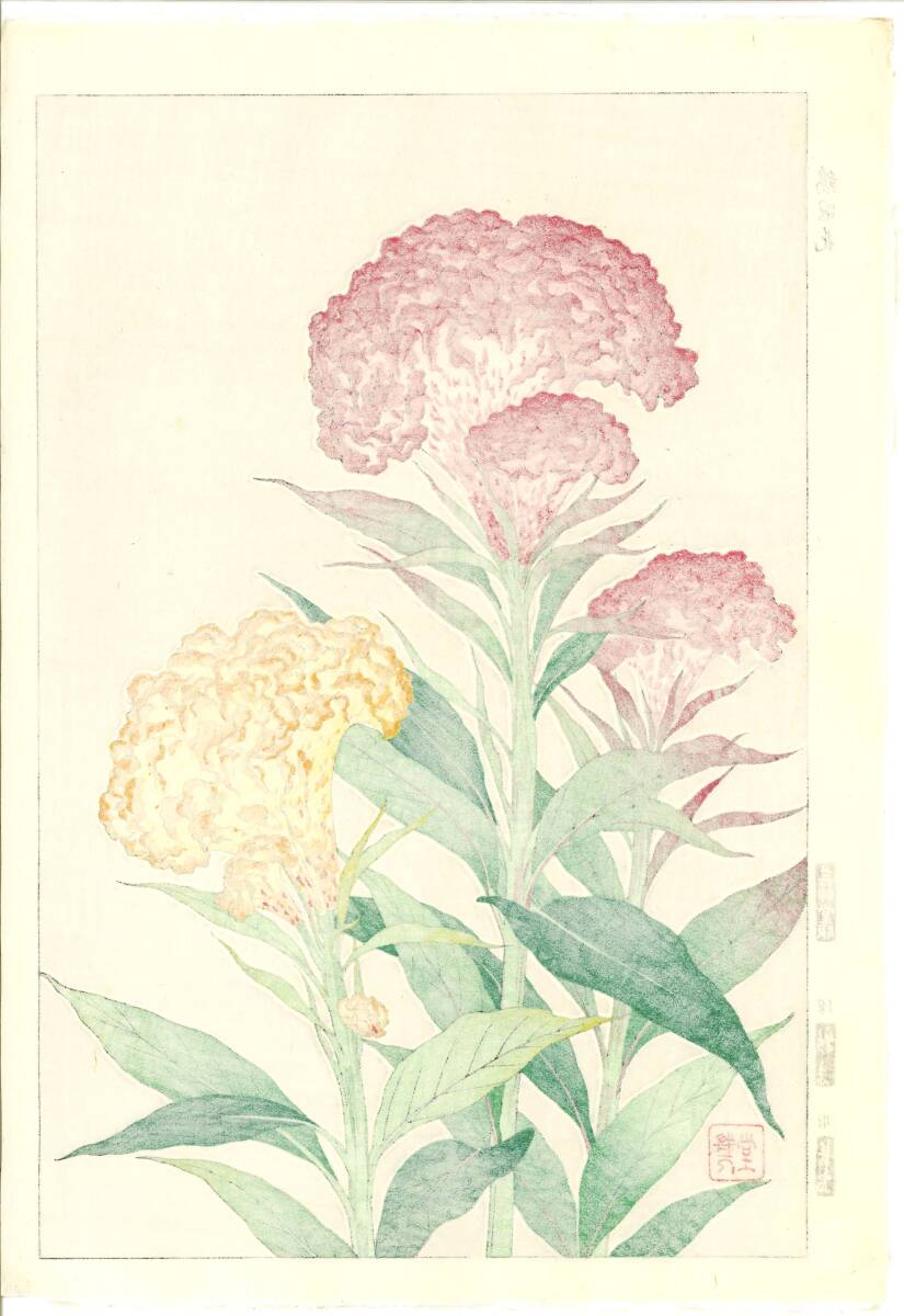 真作保証　河原崎奨堂 木版画 　#137 鶏冠花 Cockscomb 　花版画　　初版昭和中期～ 京都らしい花版画の美をご自宅でお楽しみください。_画像2