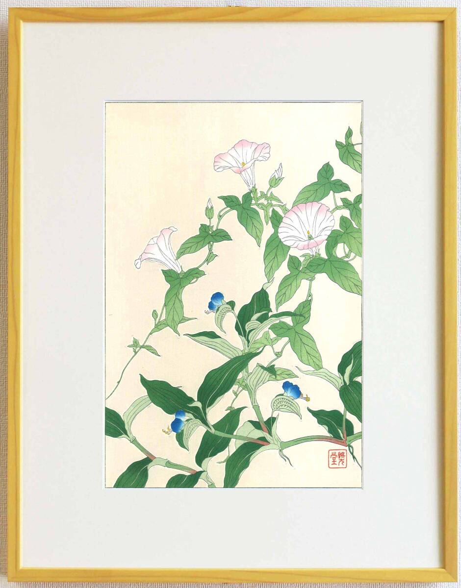  真作保証　額装 　河原崎奨堂　木版画 　 #62 昼顔と露草 Bindweed　　初版昭和中期頃　　自宅に届いて直ぐに飾れる京都の名品　花版画!!_画像1