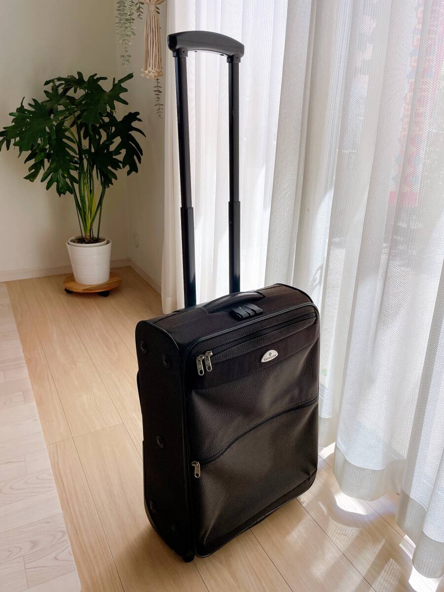 Samsonite* Samsonite ** Carry case * suitcase * travel * business trip * carry bag 