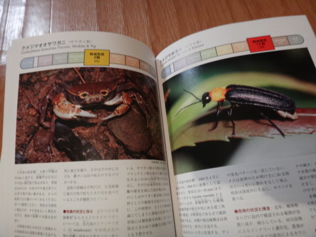 専門書 生物図鑑 環境省レッドリスト 日本の絶滅危惧生物図鑑 丸善出版の画像2