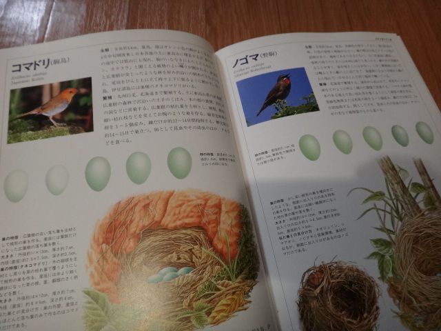 専門書 鳥類図鑑 日本の野鳥 巣と卵図鑑 世界文化社の画像6