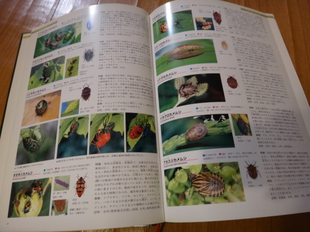 専門書 昆虫図鑑 日本産幼虫図鑑 学研の画像3