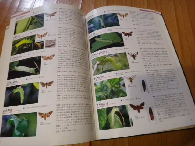 専門書 昆虫図鑑 日本産幼虫図鑑 学研の画像7