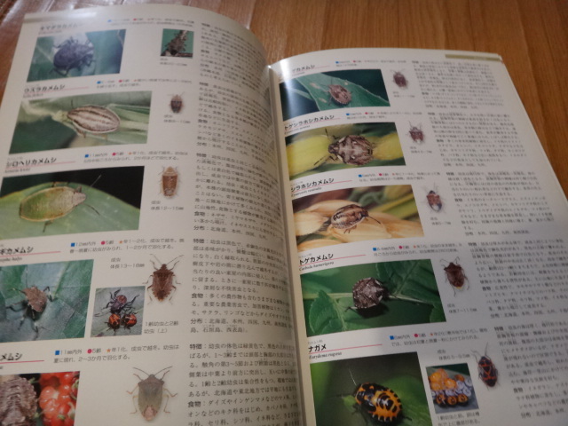 専門書 昆虫図鑑 日本産幼虫図鑑 学研の画像4