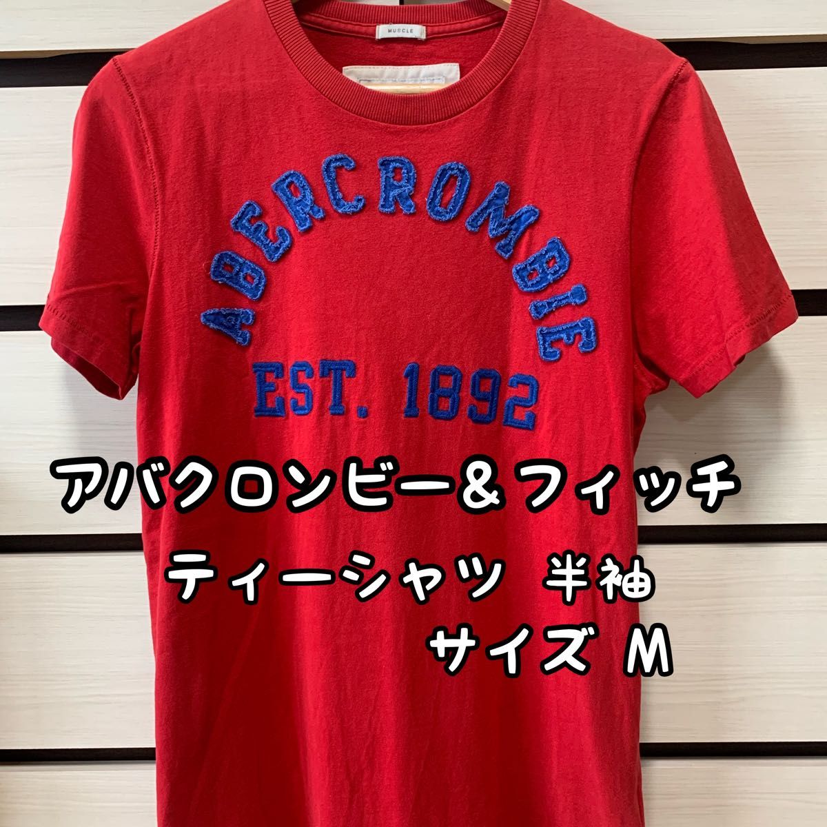 アバクロンビー＆フィッチ ロゴワッペン刺繍 Tシャツ サイズM