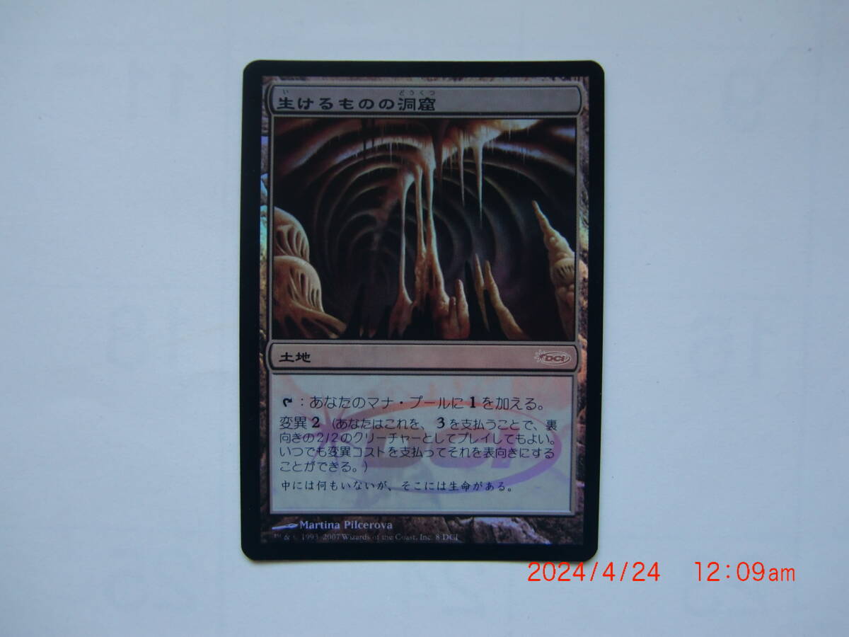 バイン　MTG 生けるものの洞窟/Zoetic Cavern foil 日本語1枚 プロモ_画像1