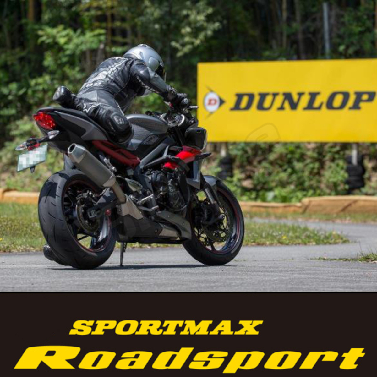 DUNLOP SPORTMAX Roadsport TRIUMPH トライアンフ Speed Triple スピード トリプル リア リヤ タイヤ190/50ZR17 M/C 73W TL_画像3