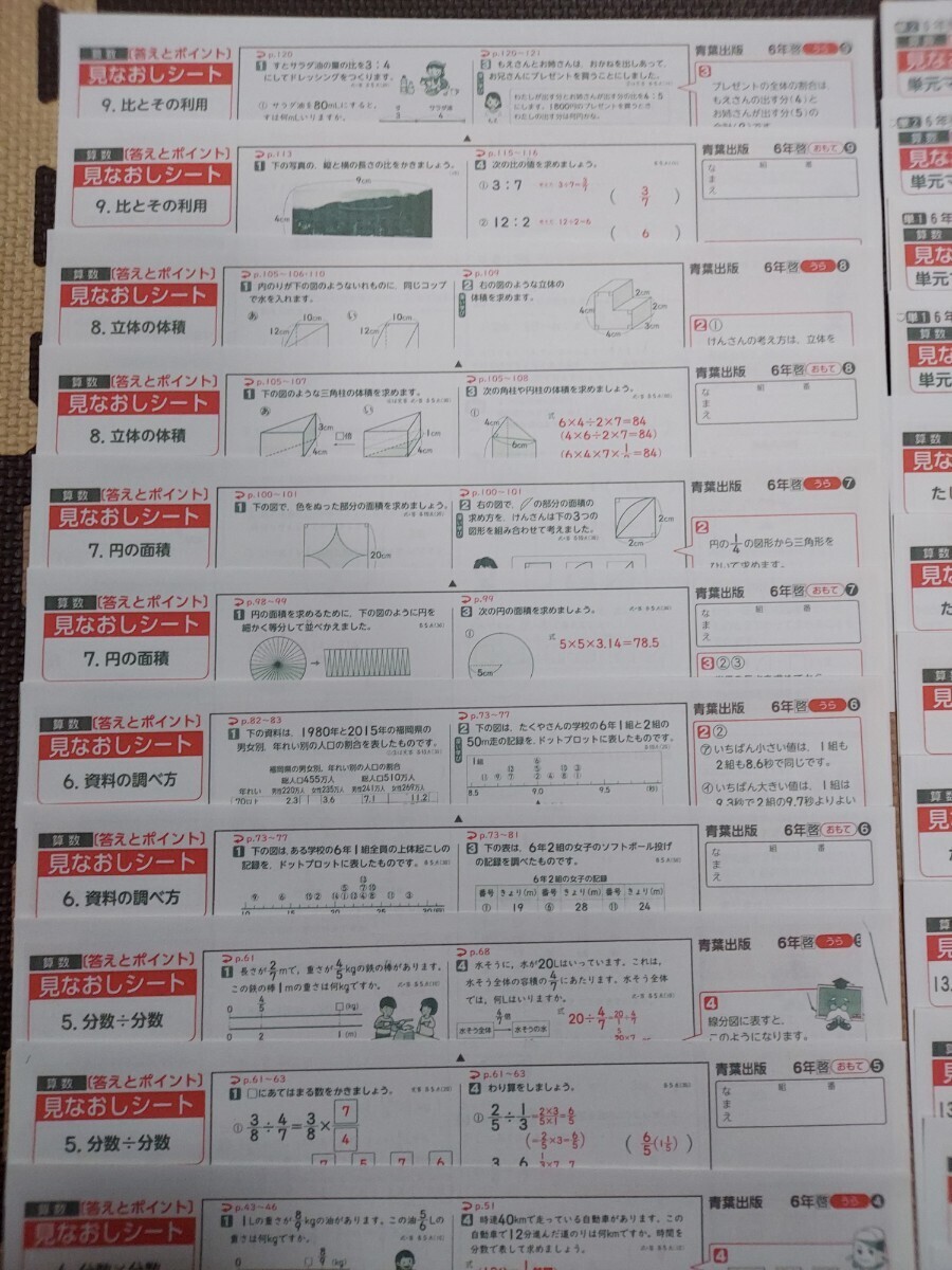 小学6年生 見なおしシート 算数 34枚 通知表対策 内申点対策 解答 カラーテスト 受験 まとめ 予習復習 小６の画像3