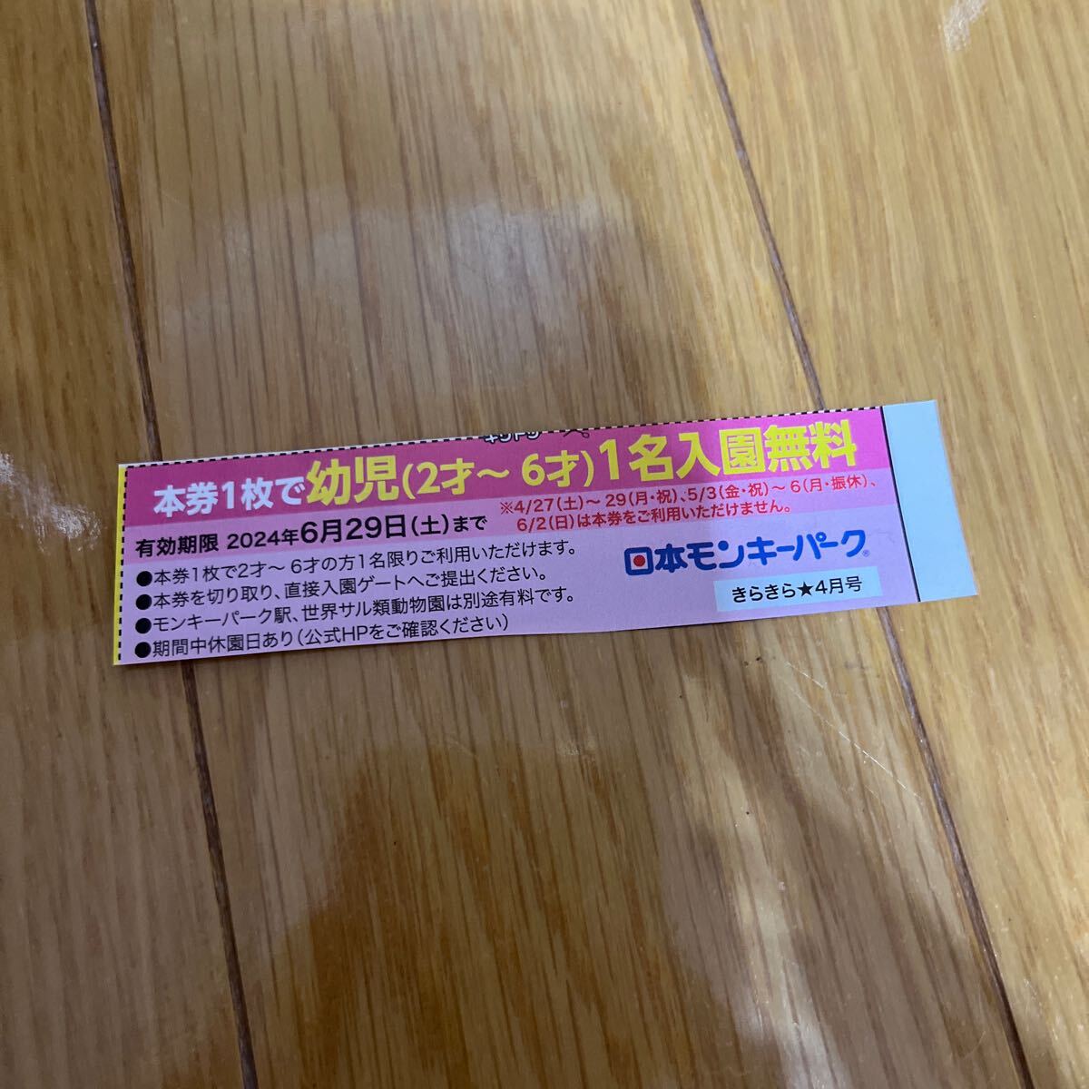 Японская обезьяна парк интравармент бесплатный билет бесплатный билет Aichi Prefecture Travel Travel