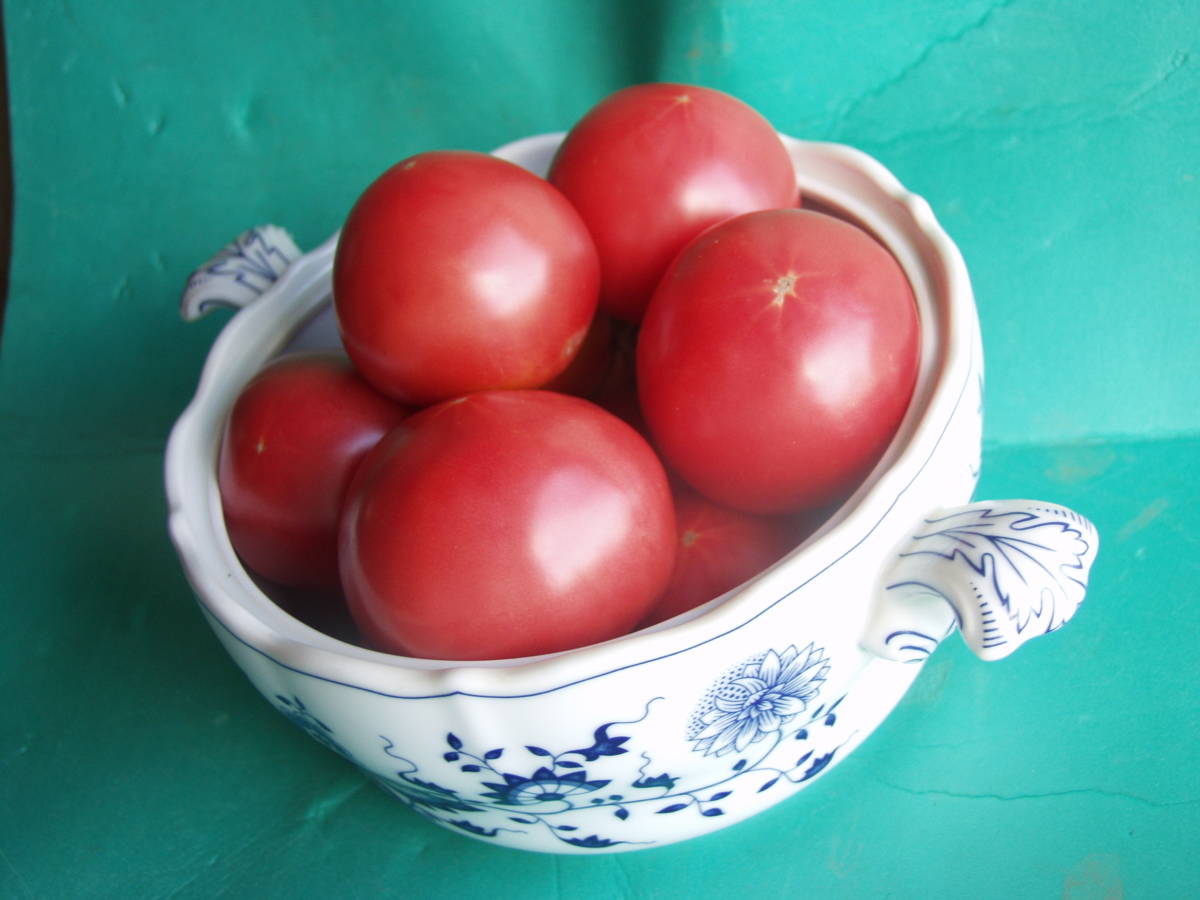 Фиксированные виды Aloit Vies Tomato Five 30 Таблетки культивируют материалы 5 очков с пестицидными овощами